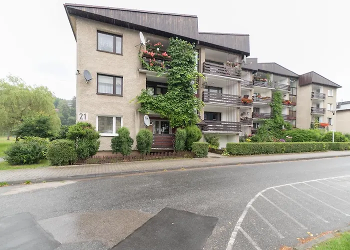 Daire - Centrum, Z Wislaczkiem - Dream